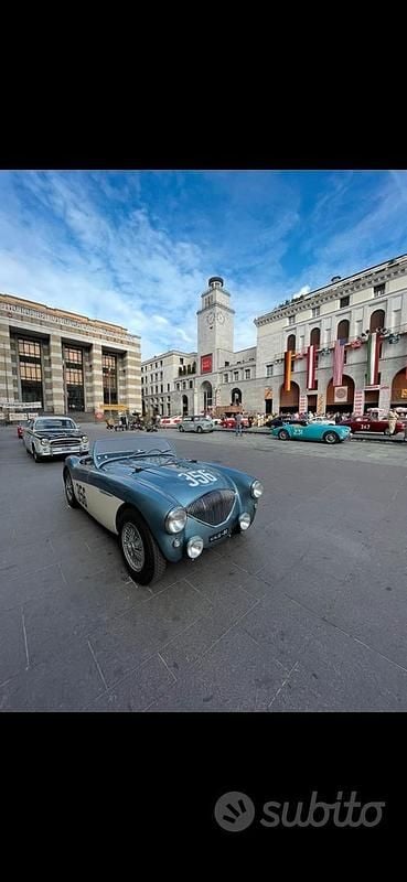 Usata Austin Healey 100 1950 Grigio Cabrio