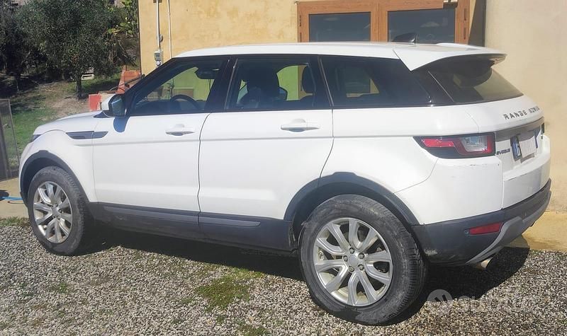 Usata Land Rover Range Rover evoque SE 204 CV (150 kW) 2018 Bianco SUV