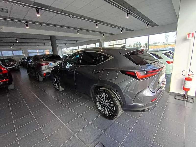 Usata Lexus NX350h Luxury Line 243 CV (178 kW) 2023 Grigio SUV