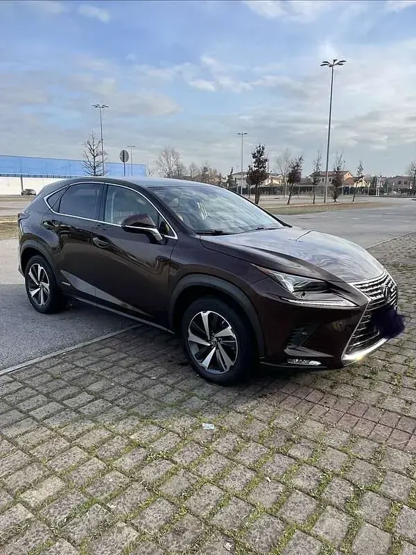 Usata Lexus NX300h E-FOUR Luxury Line 197 CV (144 kW) 2020 Marrone SUV