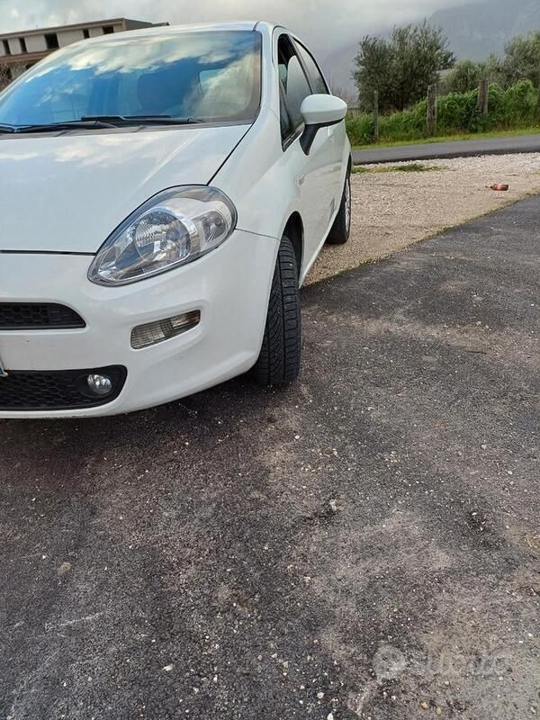 Usata Fiat Punto Evo Dynamic 77 CV (56 kW) 2013 Bianco Utilitaria