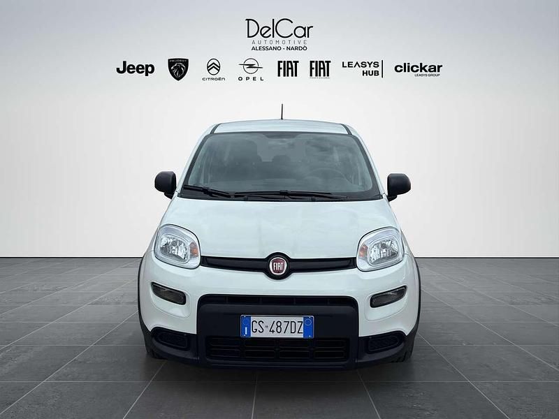Usata Fiat Panda 69 CV (50 kW) 2023 Bianco Utilitaria
