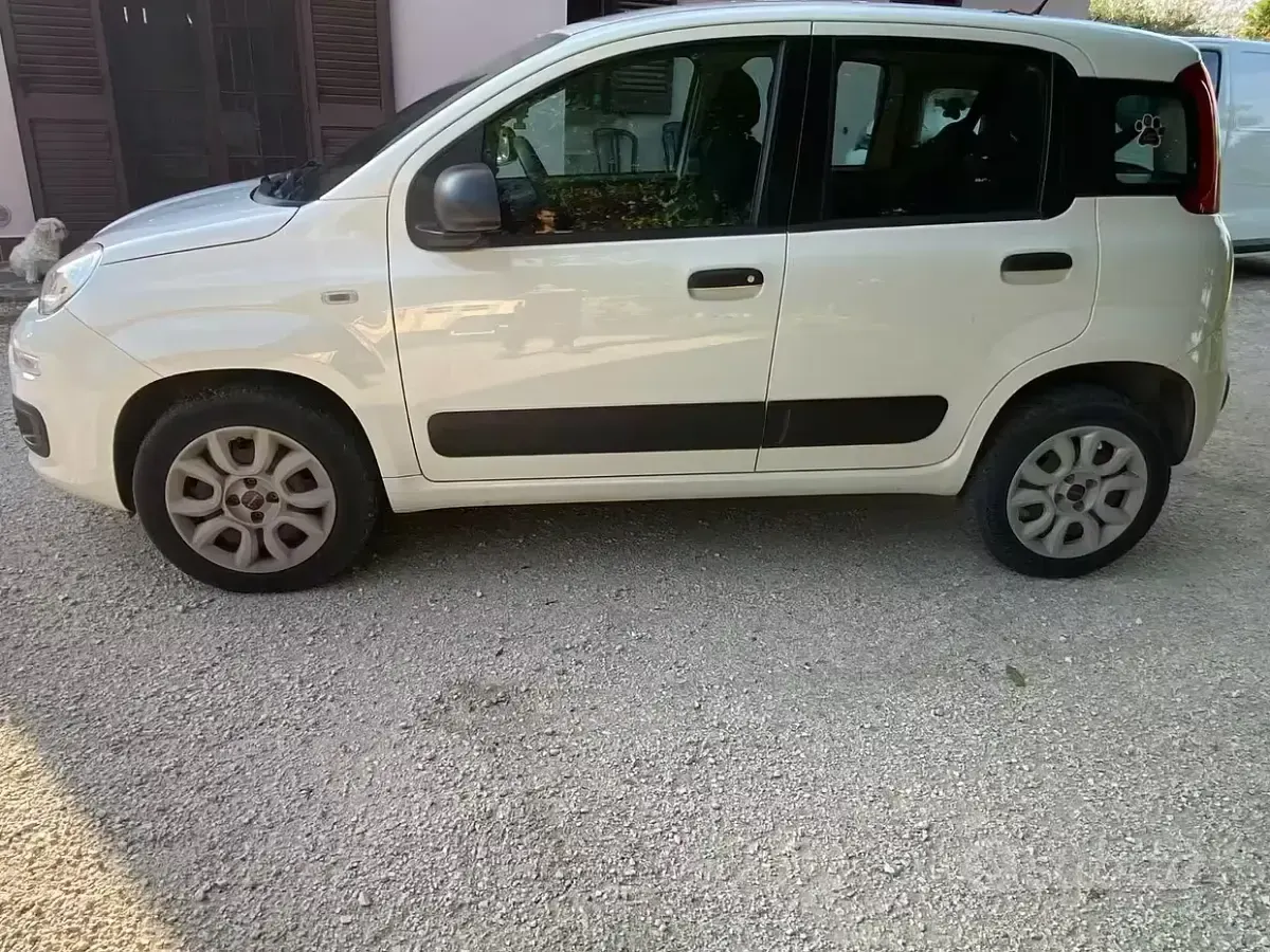 Usata Fiat Panda 85 CV (62 kW) 2015 Bianco Utilitaria