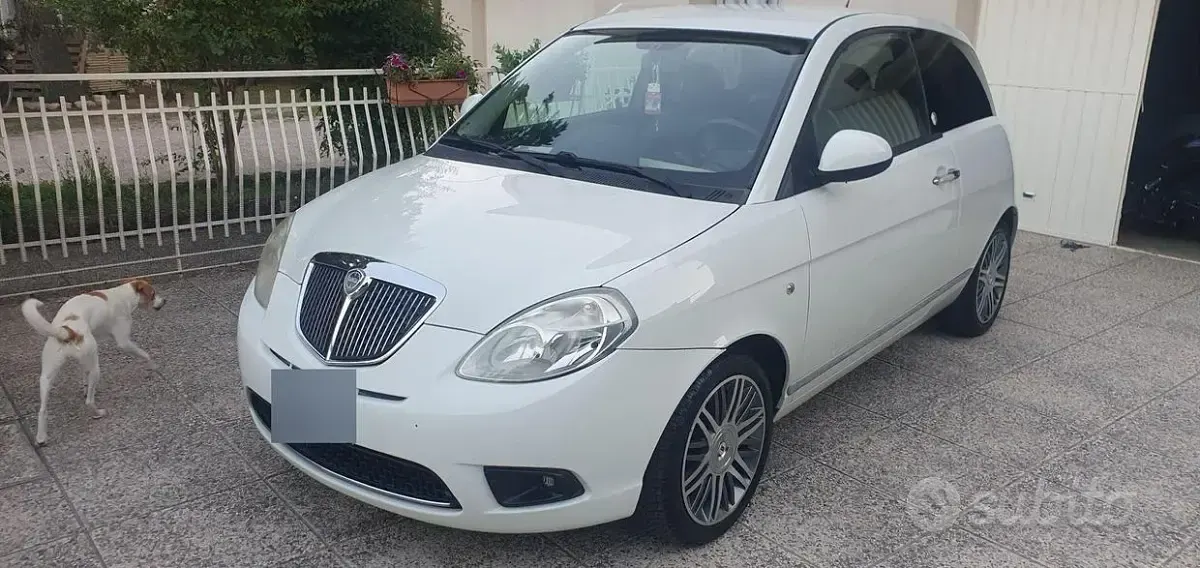 Usata Lancia Ypsilon 77 CV (56 kW) 2010 Bianco Utilitaria
