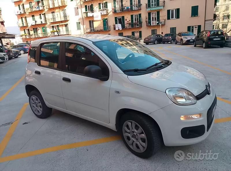Usata Fiat Panda 2020 Bianco Utilitaria