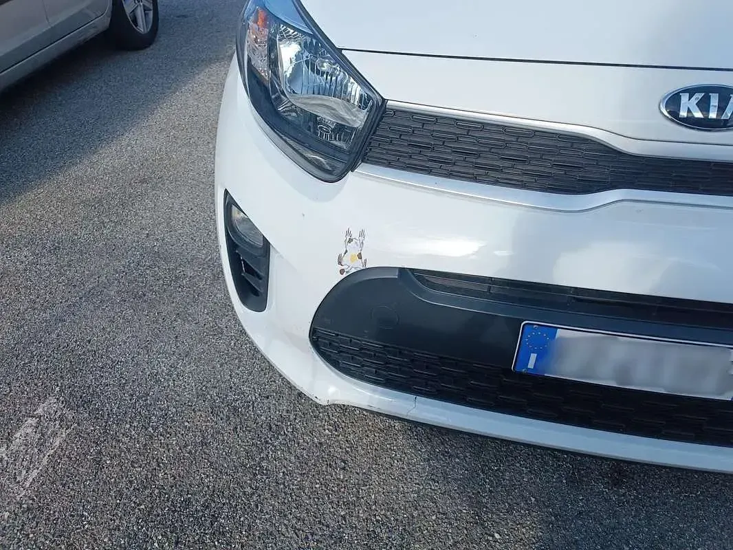 Usata Kia Picanto 67 CV (49 kW) 2019 Bianco Utilitaria