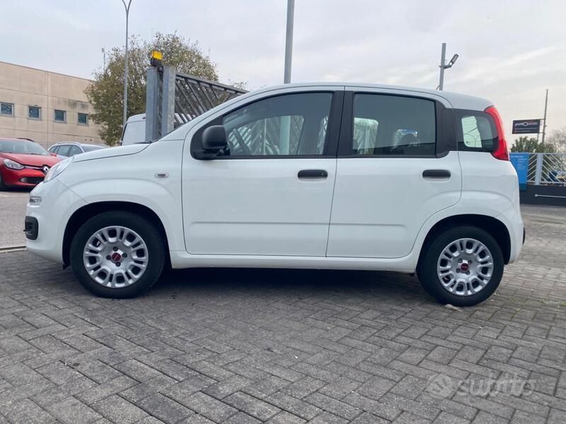 Usata Fiat Panda Easy 69 CV (50 kW) 2019 Bianco Utilitaria