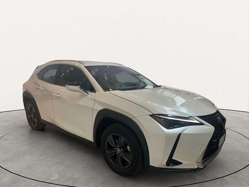 Usata Lexus UX 250h 145 CV (106 kW) 2024 Bianco SUV