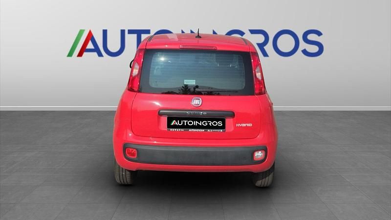 Usata Fiat Panda Easy 70 CV (51 kW) 2021 Rosso Utilitaria