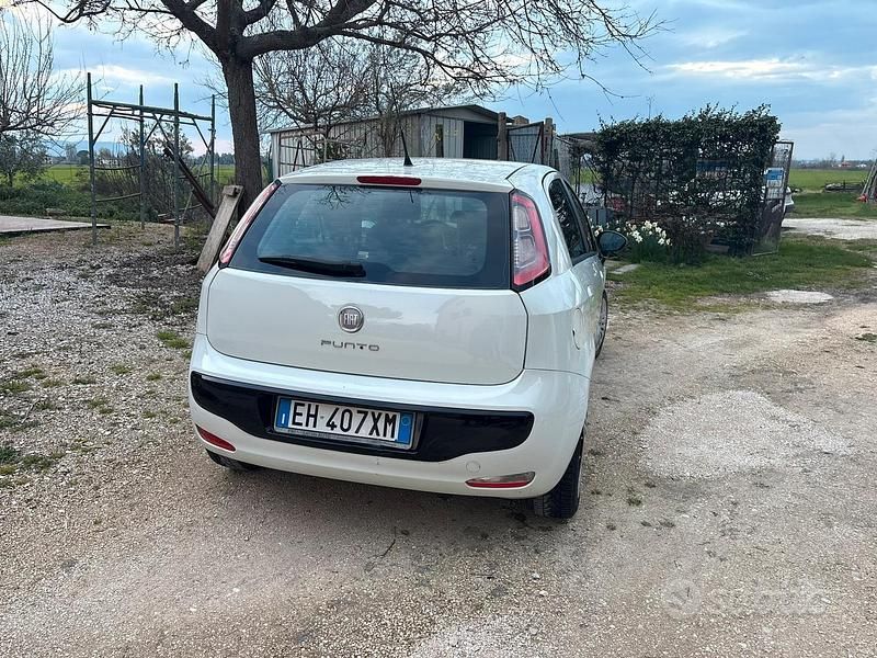 Usata Fiat Punto Evo 2009 Bianco Utilitaria