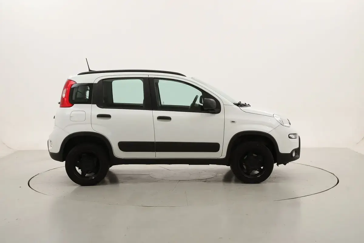 Usata Fiat Panda 4x4 Wild 85 CV (62 kW) 2022 Utilitaria