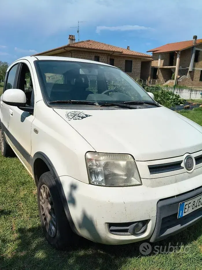 Usata Fiat Panda 4x4 Climbing 75 CV (55 kW) 2011 Bianco Utilitaria