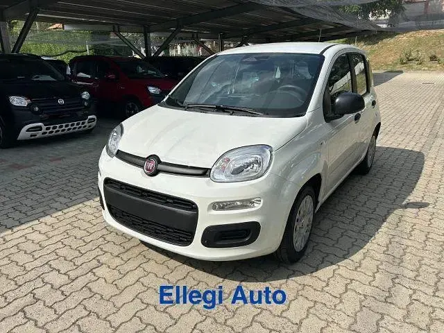 Nuova Fiat Panda Icon 69 CV (50 kW) 2026 Bianco Utilitaria