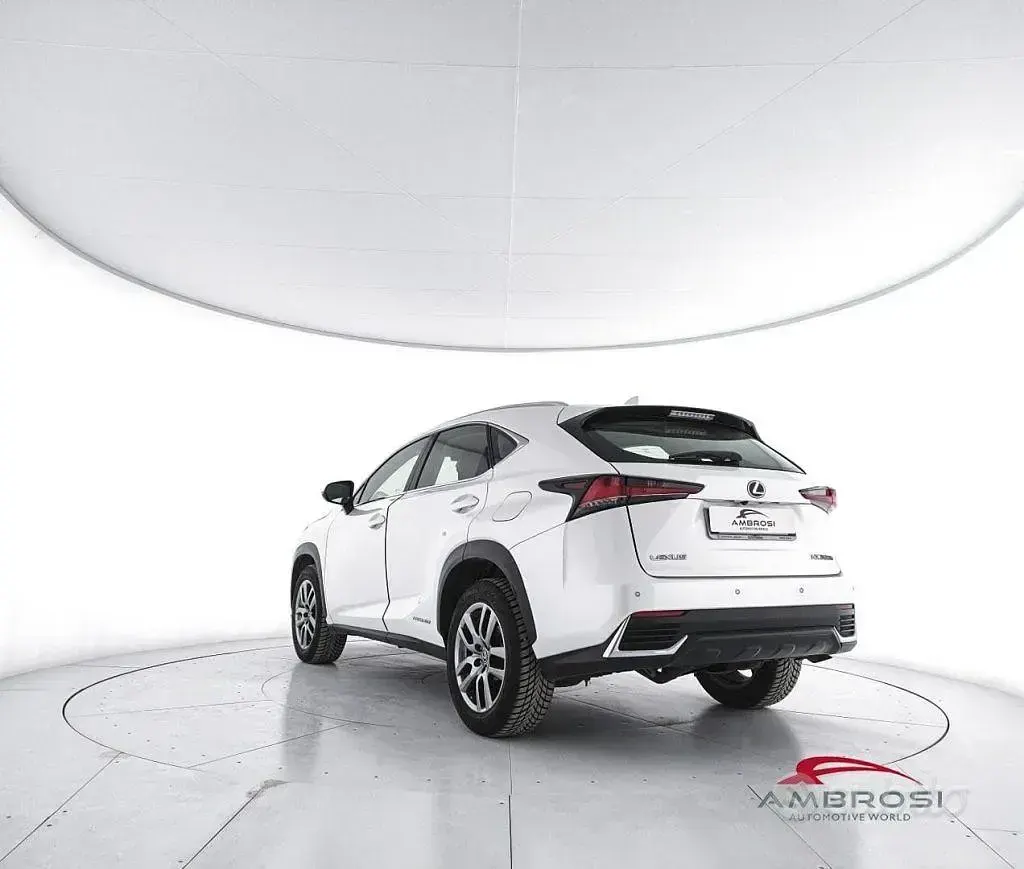Usata Lexus NX300h Executive Line 155 CV (114 kW) 2018 Bianco SUV