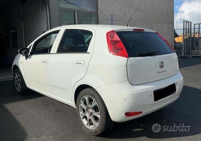 Usata Fiat Punto Lounge 69 CV (50 kW) 2017 Bianco Utilitaria