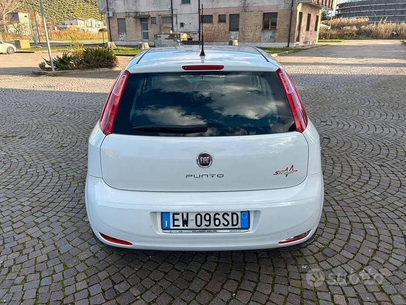 Usata Fiat Punto Lounge 75 CV (55 kW) 2014 Bianco Utilitaria