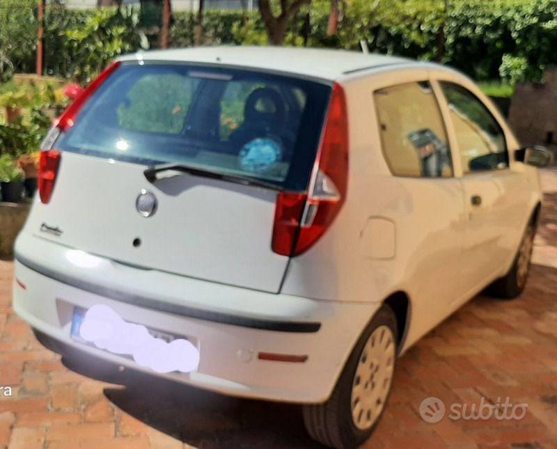 Usata Fiat Punto 60 CV (44 kW) 2009 Bianco Utilitaria