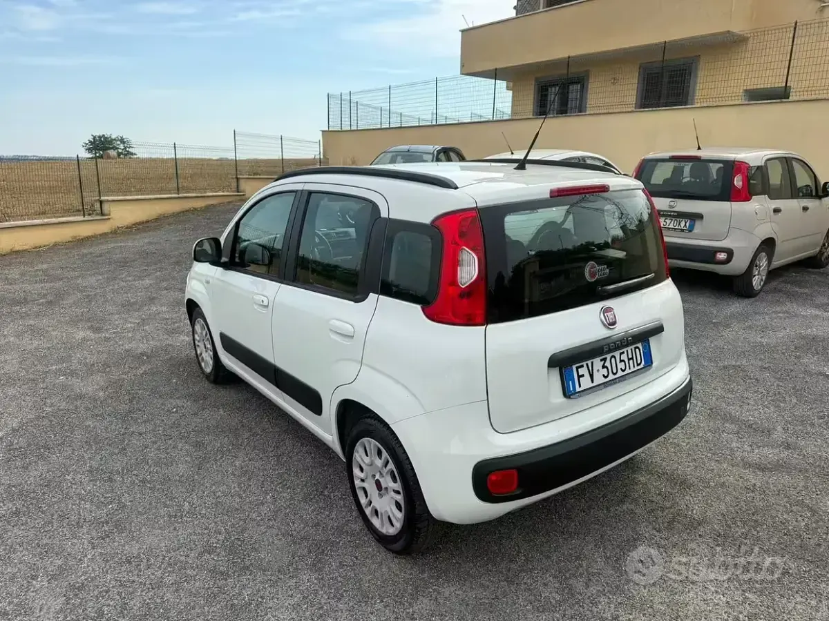 Usata Fiat Panda Easy 69 CV (50 kW) 2019 Bianco Utilitaria