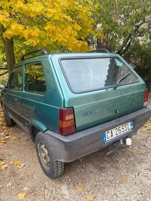Usata Fiat Panda 4x4 Trekking 54 CV (39 kW) 2002 Utilitaria