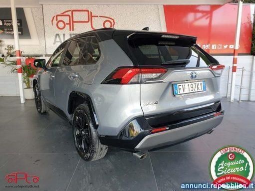 Usata Toyota RAV4 Hybrid Lounge 218 CV (160 kW) 2019 Argento SUV