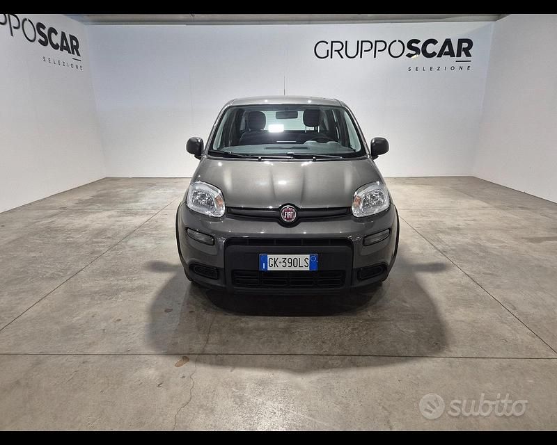 Usata Fiat Panda S 70 CV (51 kW) 2022 Grigio Utilitaria