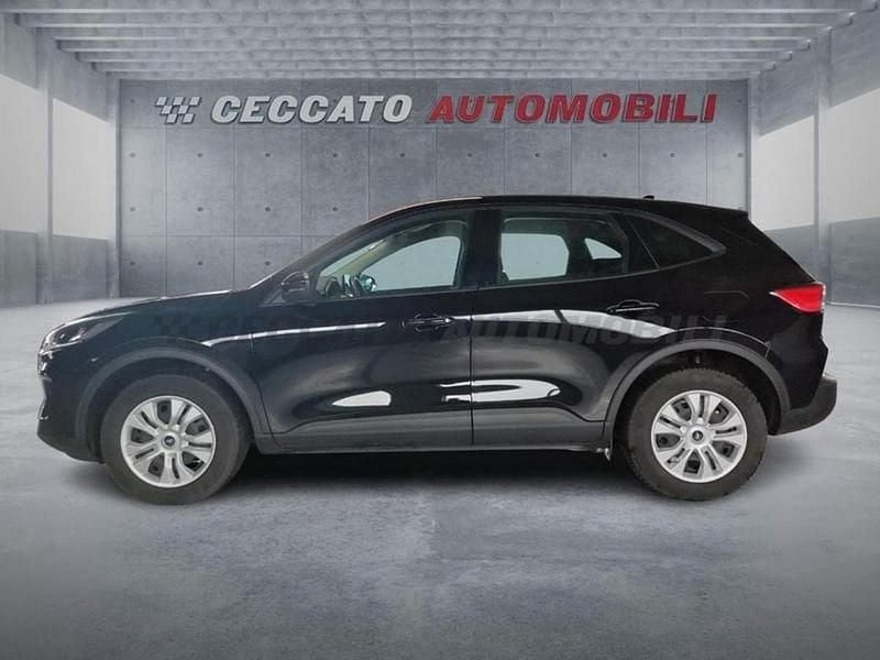 Usata Ford Kuga Titanium X 150 CV (110 kW) 2024 Nero SUV