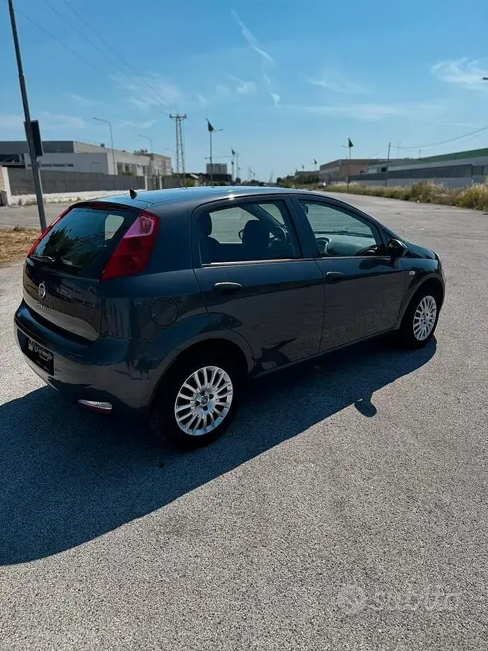 Usata Fiat Punto Lounge 69 CV (50 kW) 2015 Grigio Utilitaria