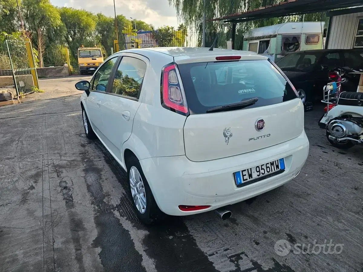 Usata Fiat Punto Evo 75 CV (55 kW) 2014 Bianco Utilitaria