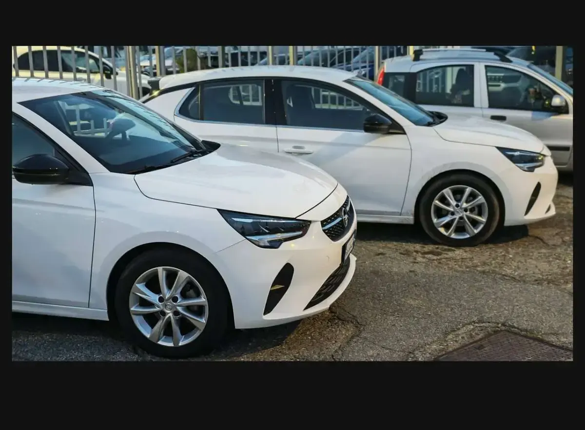 Usata Opel Corsa Elegance 75 CV (55 kW) 2023 Bianco Utilitaria