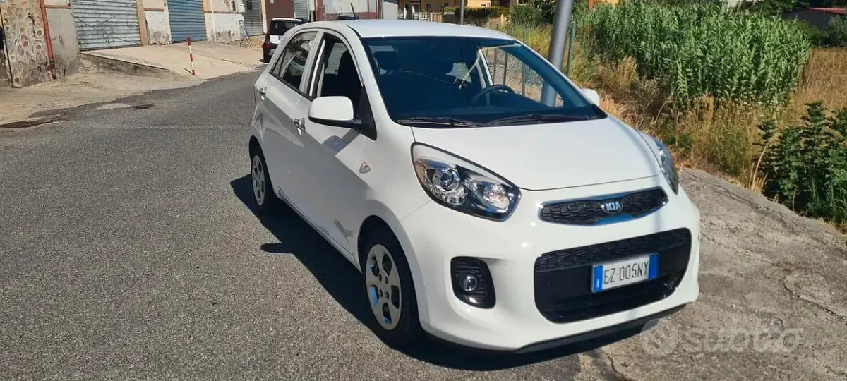 Usata Kia Picanto 67 CV (49 kW) 2015 Bianco Utilitaria