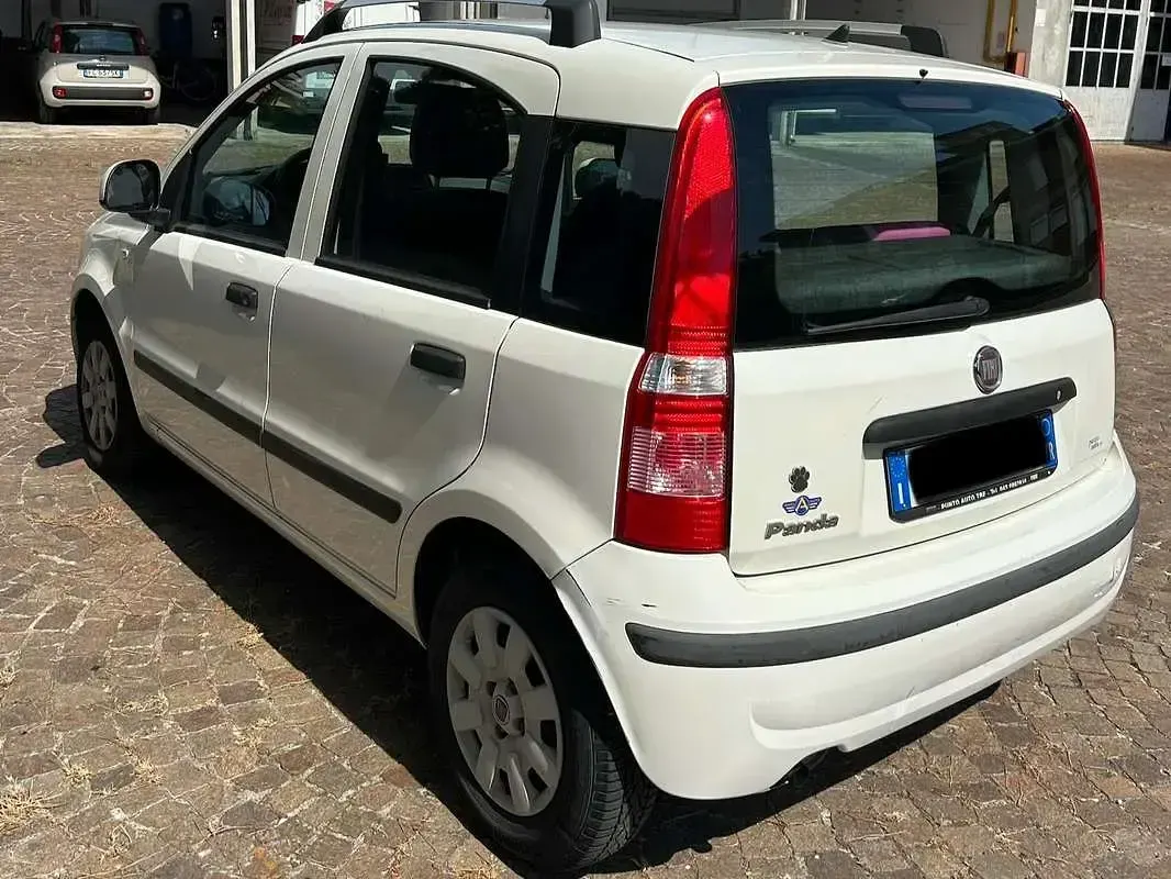 Usata Fiat Panda Dynamic 60 CV (44 kW) 2009 Bianco Utilitaria