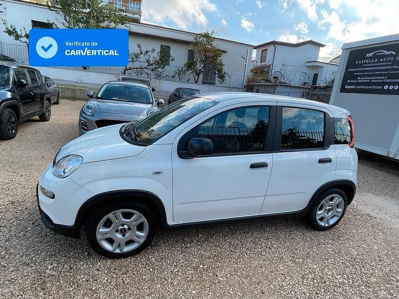 Usata Fiat Panda S 70 CV (51 kW) 2024 Bianco Utilitaria