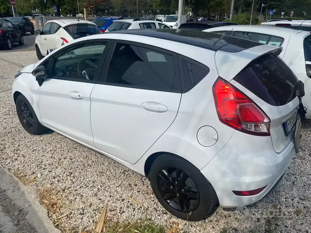 Usata Ford Fiesta ST-Line 75 CV (55 kW) 2017 Bianco Utilitaria