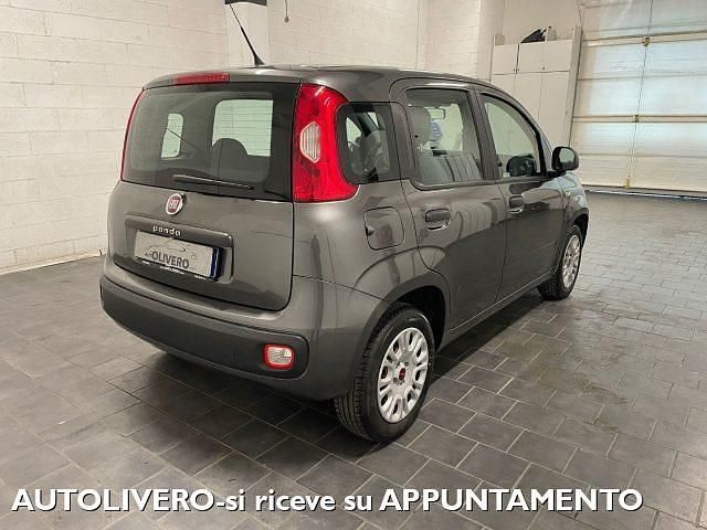 Usata Fiat Panda Easy 69 CV (50 kW) 2018 Grigio Berlina