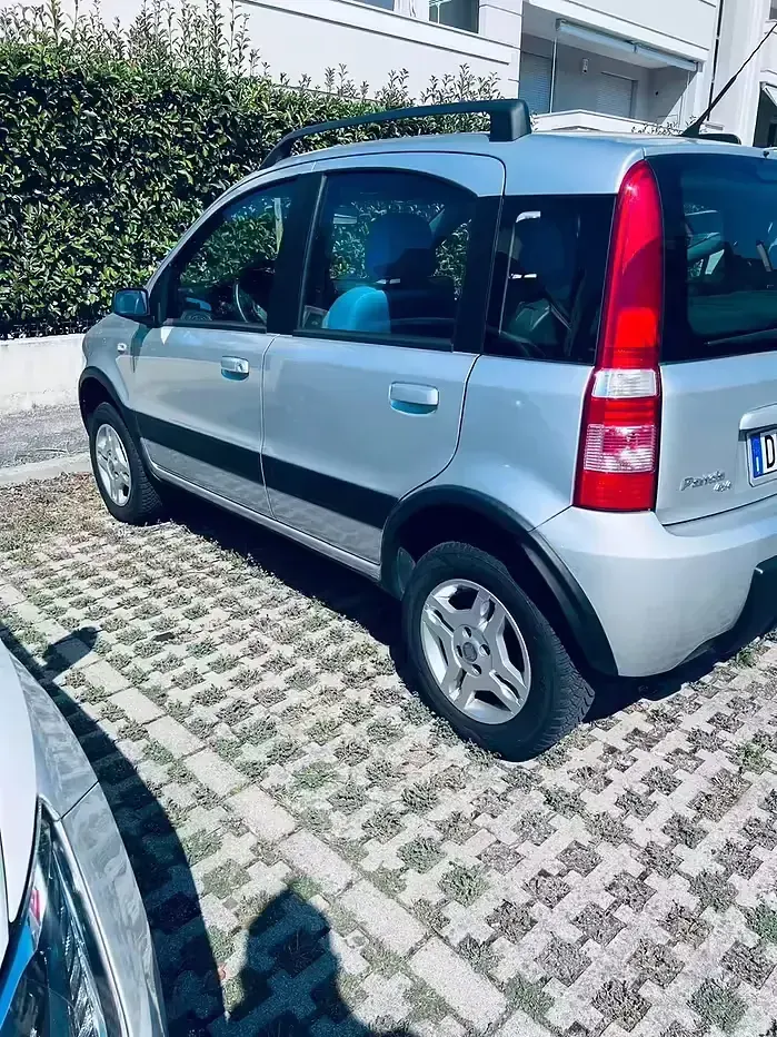 Usata Fiat Panda 4x4 69 CV (50 kW) 2008 Grigio Utilitaria