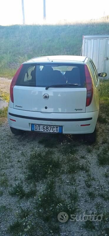 Usata Fiat Punto 77 CV (56 kW) 2010 Bianco Utilitaria