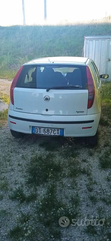 Usata Fiat Punto 60 CV (44 kW) 2010 Bianco Utilitaria