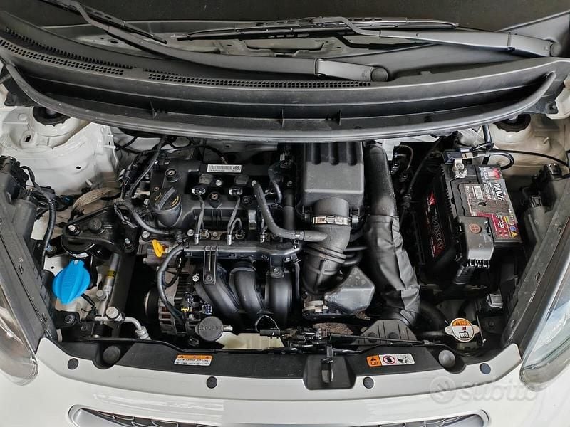 Usata Kia Picanto Active 66 CV (48 kW) 2017 Bianco Utilitaria