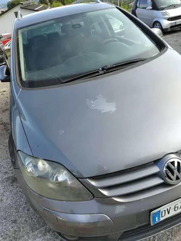 Usata VW Golf Plus Cross 105 CV (77 kW) 2008 Grigio Monovolume