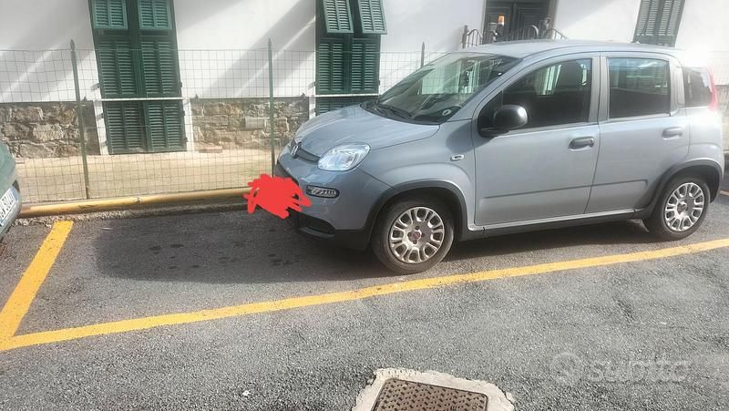 Usata Fiat Panda 2023 Utilitaria