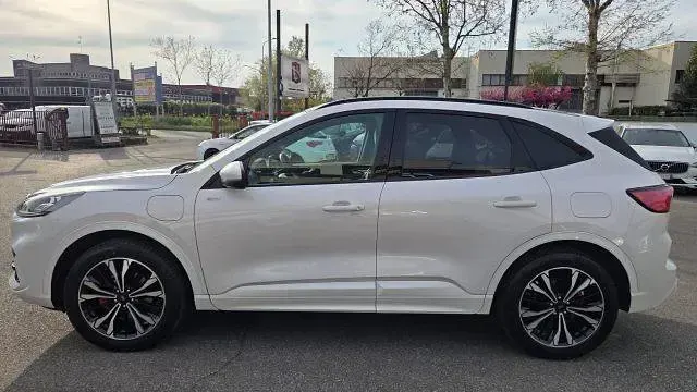 Usata Ford Kuga ST-Line X 152 CV (111 kW) 2023 Bianco SUV