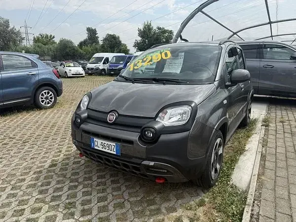 Usata Fiat Panda Cross Cross 69 CV (50 kW) 2023 Utilitaria