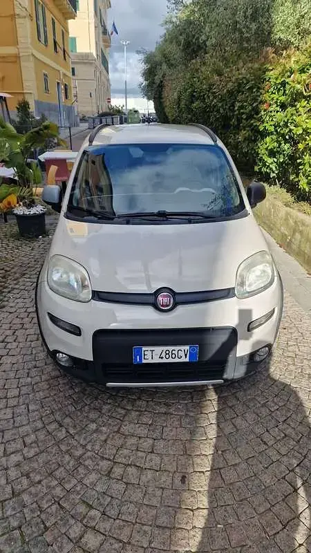 Usata Fiat Panda 4x4 75 CV (55 kW) 2013 Beige Utilitaria