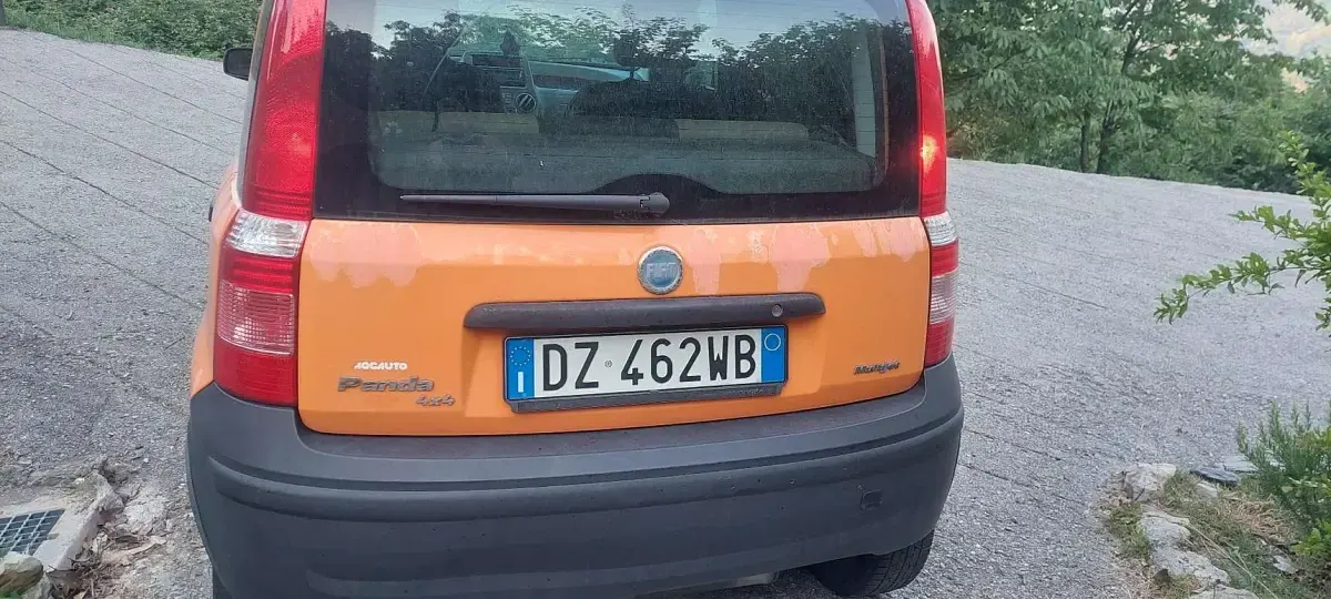 Usata Fiat Panda 4x4 69 CV (50 kW) 2010 Utilitaria
