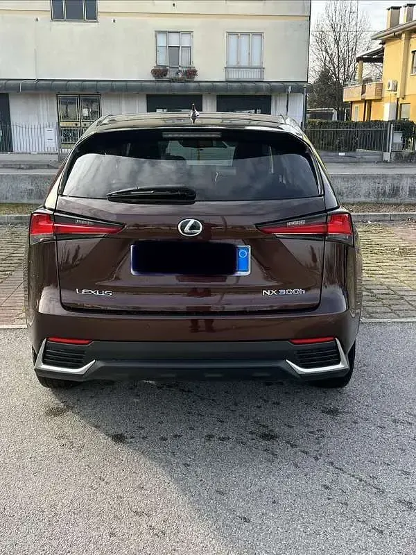 Usata Lexus NX300h E-FOUR Luxury Line 197 CV (144 kW) 2020 Marrone SUV