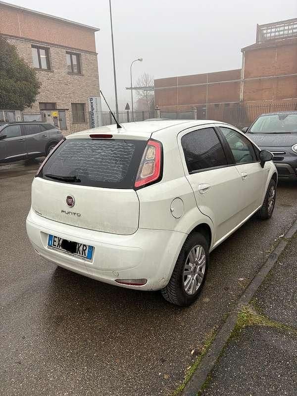 Usata Fiat Punto Evo 69 CV (50 kW) 2014 Bianco Utilitaria