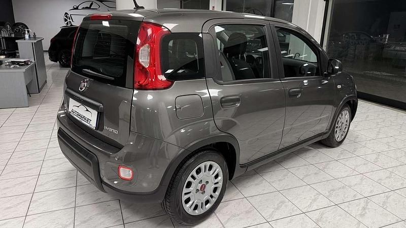 Usata Fiat Panda S 69 CV (50 kW) 2023 Grigio Utilitaria