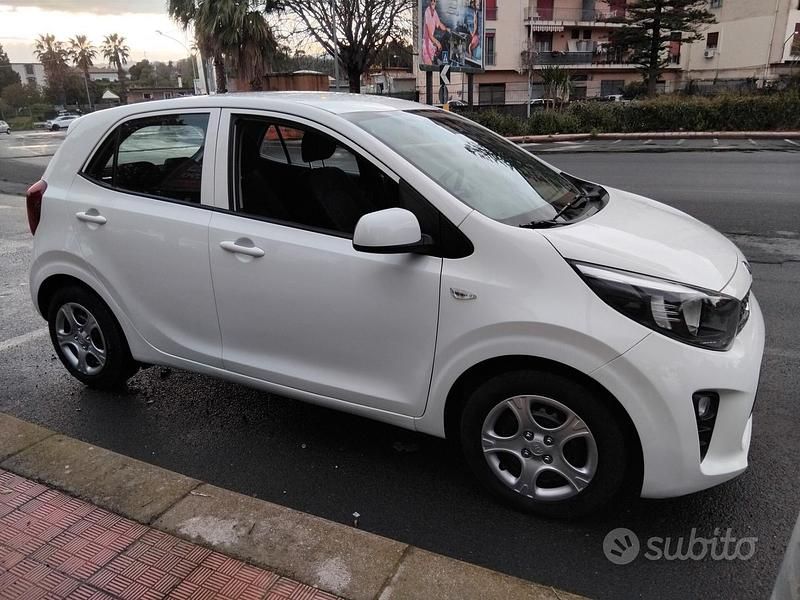 Usata Kia Picanto City 67 CV (49 kW) 2021 Bianco Utilitaria