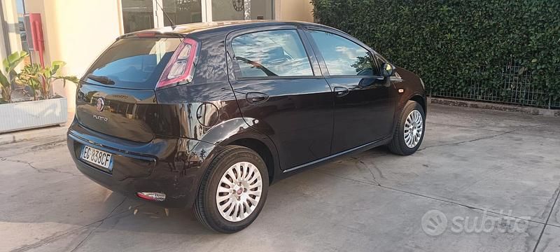 Usata Fiat Punto Evo Active 77 CV (56 kW) 2011 Nero Utilitaria