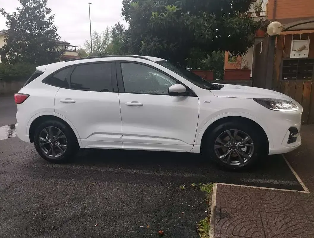 Usata Ford Kuga ST-Line X 150 CV (110 kW) 2021 SUV